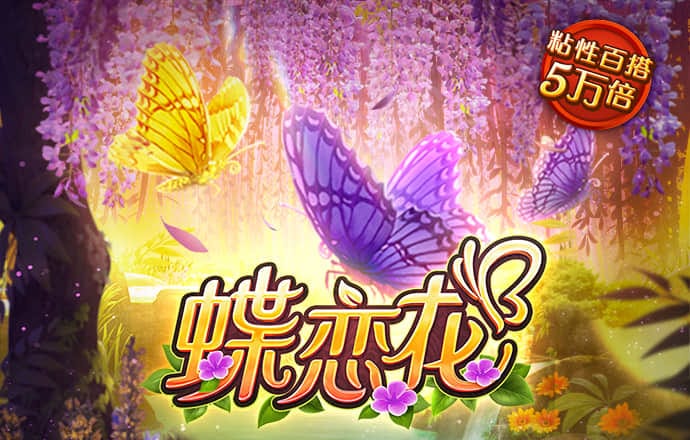千锦娱乐下载