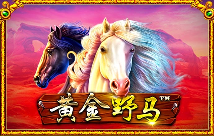 澳门彩四肖八码期期准下载